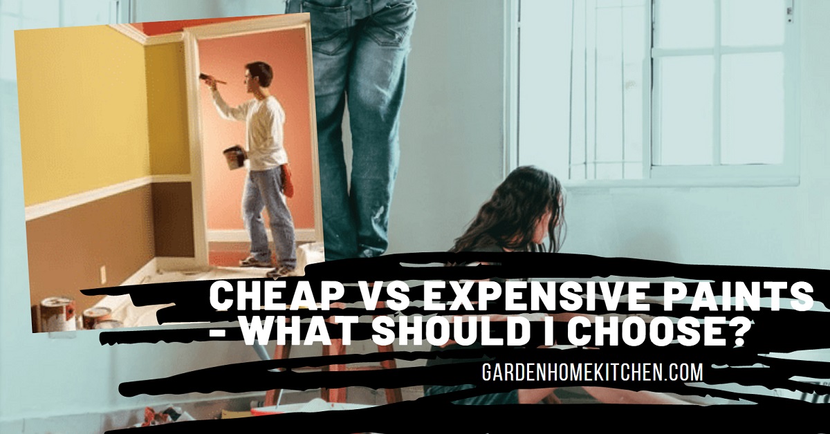 Cheap Vs Expensive Paints What Should I Choose? Garden Home Kitchen