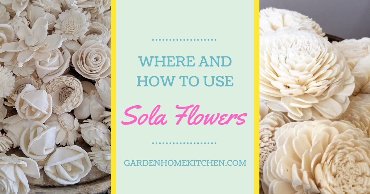 Where and How to Use Sola Flowers Garden Home Kitchen