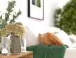 Martha Stewart's Home Decorating Tips You Should Know